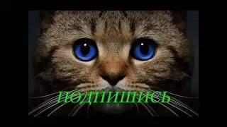 Взаимная Подписка На YouTube