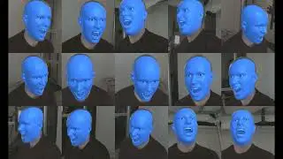 3D Face Reconstruction with Dense Landmarks