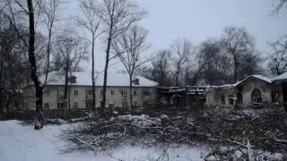 Спилить дерево целиком. Расчистка участка. #Арбористика  [SamArbo]