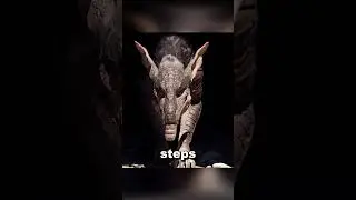 They Tried To M***** Him