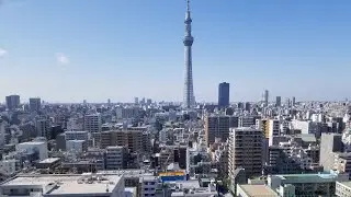 The Japan Saga