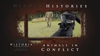 Hidden Histories - Animals in Conflict