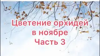 #орхидеи #цветениеорхидеи #орхидеидома #уходзаорхидеями