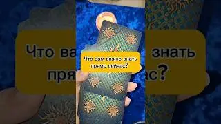 Что важно знать прямо сейчас? личный расклад +79500504520
