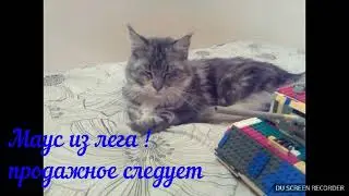 Маус из LEGO  (самоделка) продолжение следует!