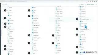 How to Enable or Disable PHP Extensions Using the CloudLinux Selector in Plesk   BLUE ARCTIC