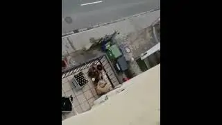 Миссия выполнима 