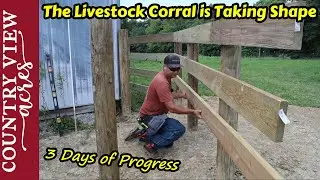 Building the Livestock Loading Chute, and Sheep Sorting Gate.  The Corral Project Continues.