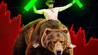 5 Tips For Surviving Bear Markets
