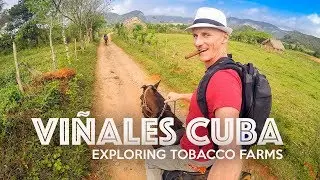 VIÑALES FARM ADVENTURE - Cuba