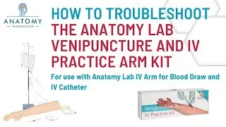 Troubleshooting and Tips for the Anatomy Lab Venipuncture and IV Practice Arm Kit and Simulation Arm