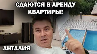СДАЮТСЯ В АРЕНДУ КВАРТИРЫ! Анталия Турция 2024
