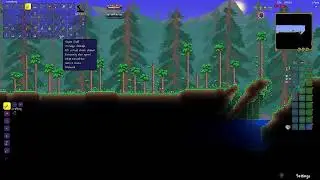 Terraria Calamity but we can't use any weapons with the letter 