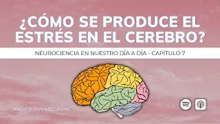 LO QUE TU PSICÓLOGO NO TE DIRÁ, PERO NECESITAS SABER SOBRE EL ESTRÉS
