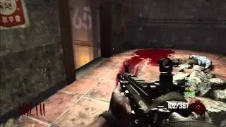 Black Ops 2 Zombies | Die Rise