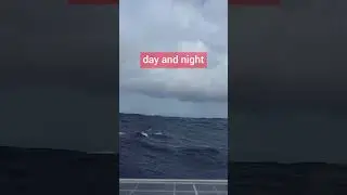 Sailing Nearly Broke Us!
