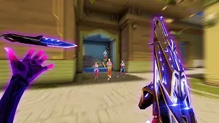 Calm Aim Crosshairs + 1000 Fps