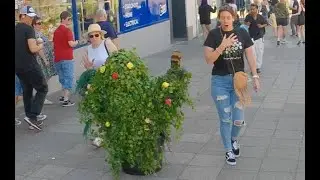 Best screams; Plymouth vs. Exeter - you tell me. Bushman Prank