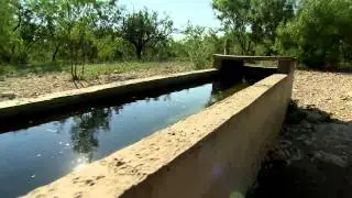 Stealth Cam Setup - Isolated Water Source