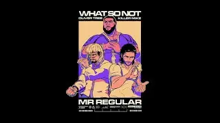 What So Not & Oliver Tree - Mr. Regular (Full Mashup Version)