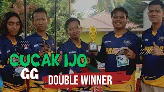 GG (Gudang Garam) Cucak Ijo Muda Memaximalkan kelebihan dan Meminimalisir Ke Kurangan Burung