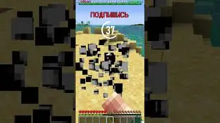 Guess the Minecraft Block in 60 Seconds 18