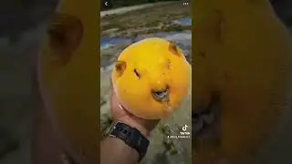 #funnyvideo #cute