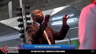 Tropical Angel Harps - Steelband Music Festival 2024 Finals (Orchestra)