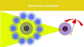 Extraneous Variable | Variable Types