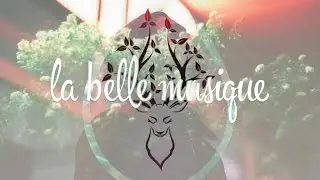 Glimmer Of Blooms - Home
