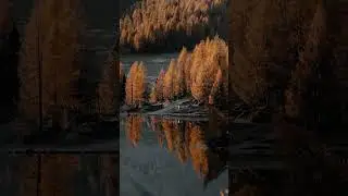 Нечто Прекрасное 2023 | #shorts