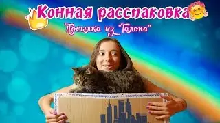 КОННАЯ РАСПАКОВКА | посылка из Германии