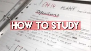 How to Study for Exams // Junior Cert & Leaving Cert //  Anna Lenkovska