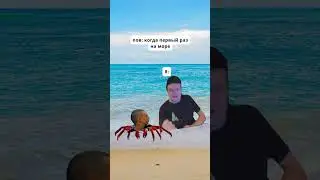 мем медуза