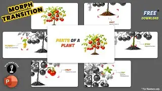 151.IMAGE Animation Trick using MORPH | PARTS OF A PLANT Animated PowerPoint Presentation