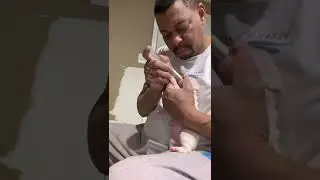 Deworming Retard/Constance Payne litter