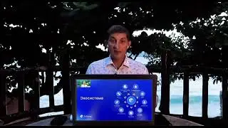 S Forex Rrime Олег Халиков 31 07 2023
