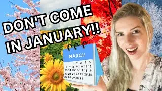 Best and Worst Months to Visit Japan