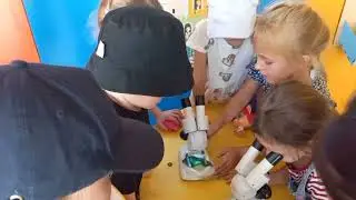 Я ВОСПИТАТЕЛЬ Меньшикова