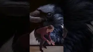 Kråkvideo1