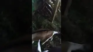 ВОТ ТАК И СОРТИРУЮ))