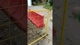 8 августа 2024 г.
