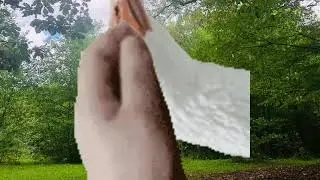 Как погладить гуся|||Конец гусября!