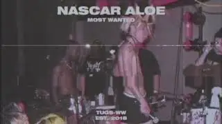NASCAR ALOE — MOST WANTED [SHITHEAD]