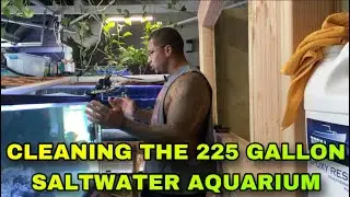 CLEANING THE 225 GALLON SALTWATER AQUARIUM