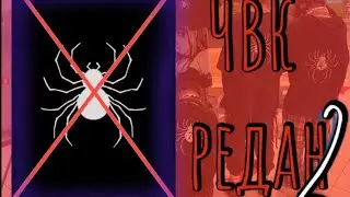 Что такое ЧВК редан? | 2 часть | ТИГРИК