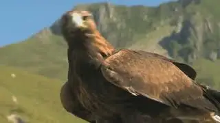 Заман туралы толғау.
