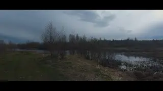 Моменты природы. Релакс видео.