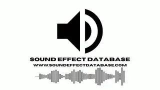 Elephant Trumpets (2) Sound Effect
