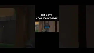 мем поливар 
